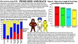 penis size 2