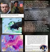 serb genetics