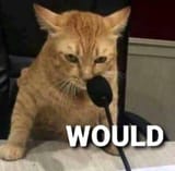 would