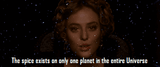 Virginia_Madsen
