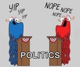 politics