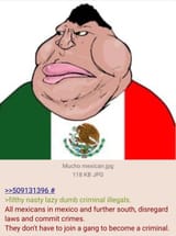 mexicans are criminals