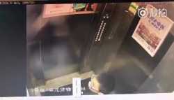 elevator_thumb.jpg