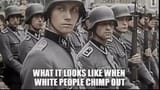 chimp out