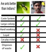 indians