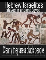 1652661612221