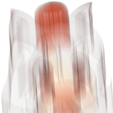 1538438141274