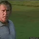 911-bush