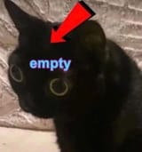 1738188561059920