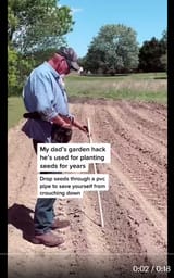 seed planting1