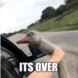 1721001544794268