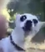 1694574065362687