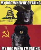 C0572106-3348-43E0-A72B-DEEE080F7EFE