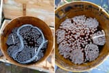 forbidden nork spaghetti