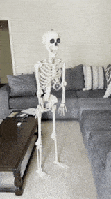 skelefail