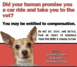 dog_law