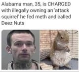 thats nuts
