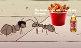 Malt Ants