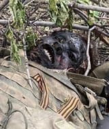 img_1097