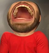 1729159356530474