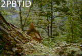 2pbtid