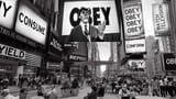 theylive-reproduce