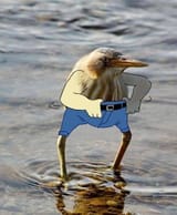 436