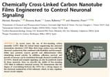 carbon nanotubes neurons brain mind control