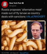 eat the bugs