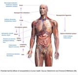nanoparticle inhalation disease death
