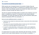 brave_screenshot_www.google.com