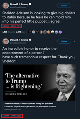 trump zionist puppet