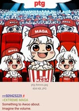 High Volume ptg Awoos