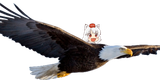 1538667257832
