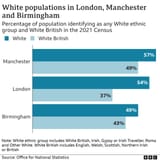 _127831980_white_white_british_ethnicity_pc-nc