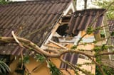 broken-branches-fall-to-roof-69230441