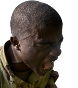 The scream for the shills