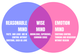 DBT_Wise_mind