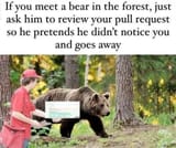 bear_survival_program