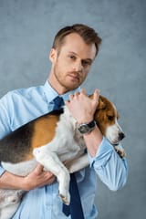 Do-Beagles-Like-to-Cuddle-3668489415