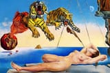 s_dali_tigers