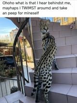 1751597082369616