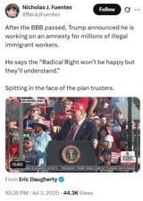 amnesty