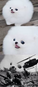 ptsd
