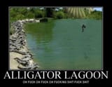 Lagoon