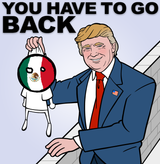 go back mexico