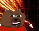 bearboii