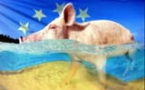 Украина Свинья для преЗЕдента