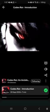 Screenshot_20250704_130725_Spotify