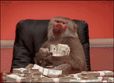 MoneyMonkey